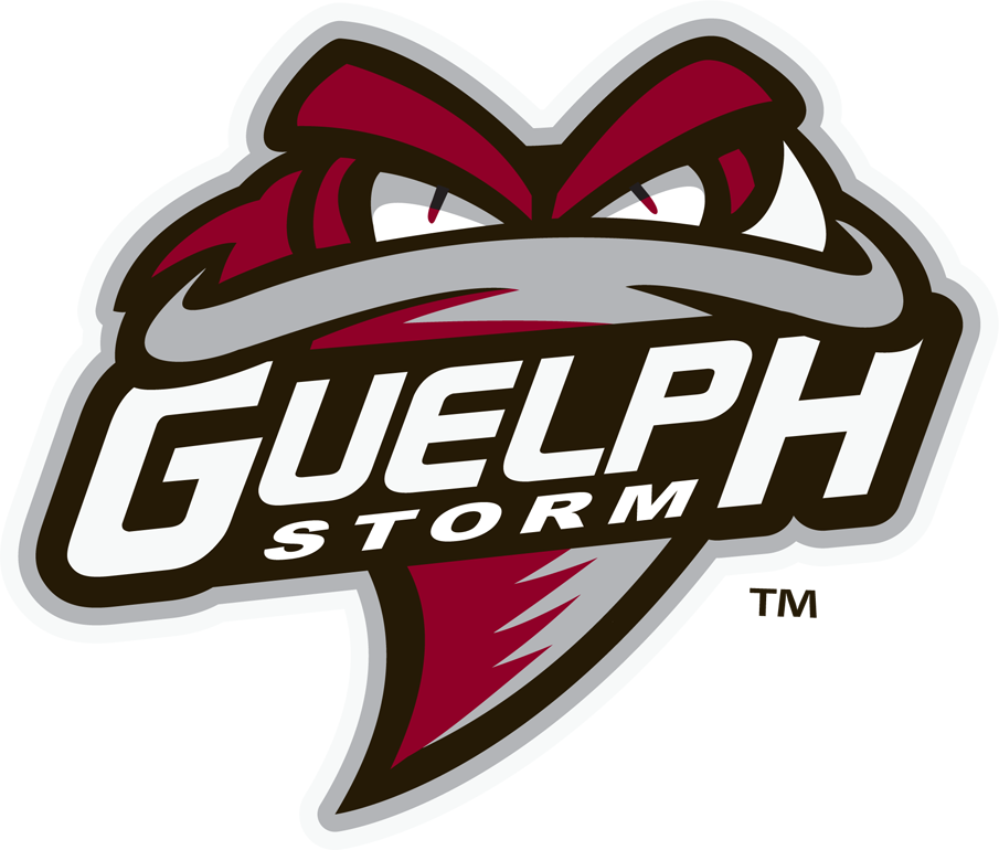 Guelph Storm 2018-Pres Primary Logo iron on heat transfer